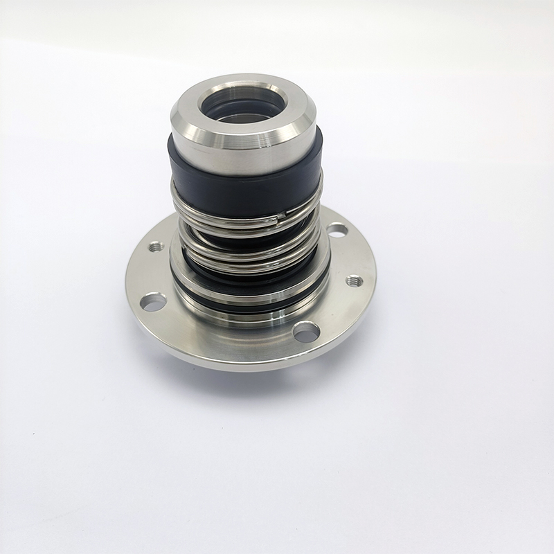 Mechanical Trim Kit EVM a 304 EBARA 364500028 Seals for