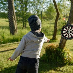 Wholesale High Quality Alvo De Dardos Custom Dart <b>Board</b> Professional Dart <b>Board</b> <b>for</b> Marketing Activities - Product Image 5