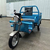 1000W Trois Roues Trike ATV Adulte 3 Roues Scooter Électrique avec Corps Ouvert 60V Tension