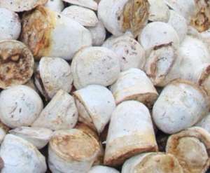 Suministro Directo de Fábrica: Caucho Natural en Trozos de Grado Estándar de Marca Vietnamita, Precio Mayorista, Material de Caucho Crudo para Neumáticos - Product Image 6