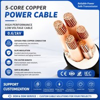Cable de Alimentación YJV 0.6/1kV de 5 Núcleos, Aislamiento XLPE, 3 Fases, 5 Hilos, Conductor de Cobre Puro al 99.9%, Cable de Distribución Eléctrica