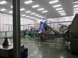 Автоматическая линия для производства мороженого на палочке большой производительности, машина для изготовления ледяных леденцов, производство из Шанхая, Китай - Product Image 2