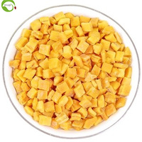 Heetverkopende gedroogde mangoblokjes met toegevoegde suiker, bulkverpakking 2kg/zak Ningxia IVY