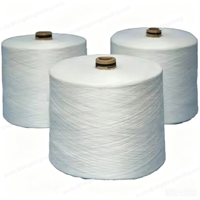 Factory Supply AA Grade 150D/48F SIM Semi Dull Raw White Polyester DTY Yarn for Knitting Socks Garment Draw Textured Yarn
