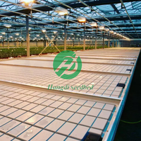 Banc de pépinière mobile Hangdi en alliage d'aluminium argenté, grand, sur roulettes, avec bacs en treillis métallique pour la culture de semis et plantes en serre