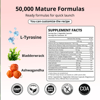 Complément alimentaire OEM ODM pour la santé de la thyroïde, capsules végétales avec iode naturel et vitamine B12, favorisant l'énergie cellulaire et le métabolisme