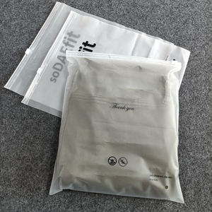 Custom Size Logo Pe Plastic Kleding Ziplock Ziplock Rits Tassen Voor Kleding - Product Image 1