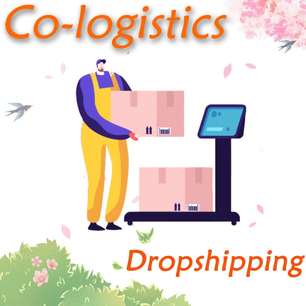 Shenzhen freight forwarder dropshipping shoes from China to USA ddp service