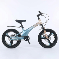 Nouveau Vélo de Montagne SY à Absorption des Chocs, Vitesse Variable, 20 Pouces, en Alliage de Magnésium avec Frein à Disque