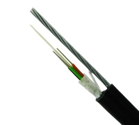 Kabel Serat Optik FCJ OPTO TECH GYXTC8Y 8-Fiber 6/12/24 Core Tembaga Terpilin G652D/G657A1/A2 LSZH/PE Jacket 10 Konduktor