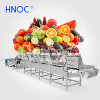 HNOC Machine à nettoyer les fruits du dragon, mangue, date, ligne de qualité cire, lavage et séchage des légumes à feuilles pour la ferme