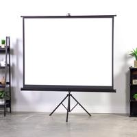 Écran de projection portable 100 pouces 16:9 avec trépied, pliable, 4K UHD, pour projection extérieure, maison, bureau, présentation