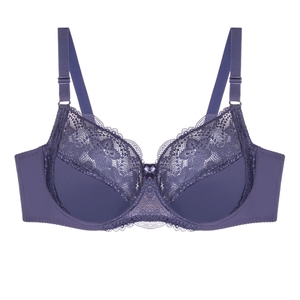 Venta al por mayor, nuevo estilo personalizado, <span class=keywords><strong>Sexy</strong></span>, para <span class=keywords><strong>mujer</strong></span>, sujetador de diseño de encaje de talla grande y grande - Product Image 1