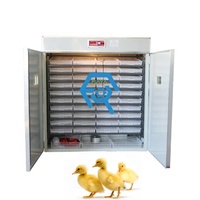 Incubateur d'oeufs de poule à taux d'éclosion élevé 528/880/1231 et machine à couver les oeufs d'éclosion