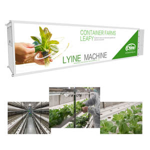 多層NFT水耕栽培コンテナ農場システム、野菜栽培用輸送コンテナ - Product Image 4