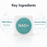 Patchs naturels hypoallergéniques pour booster le NAD, favorisant un vieillissement sain et une meilleure concentration