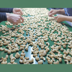 Offre Spéciale 2023 noix de cajou 1Kg dans W180 noix de cajou W320 noix de cajou WW180, WW240, WW320 prêt à expédier - Product Image 1