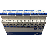 Le disjoncteur miniature de série de NXB-125 de Chint NXB-125 1P C125 a évalué la capacité de rupture MCB du courant 10KA