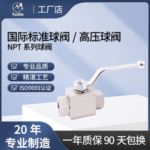 Vanne à bille TaiXin série NPT haute pression 900 PSI pour eau à température normale, usage général - Product Image 2