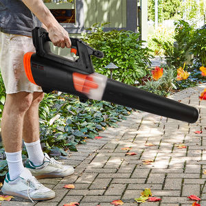 Soplador de hojas personalizado de 21V, soplador de hojas eléctrico inalámbrico con batería de litio, soplador de jardín de Tailandia - Product Image 2
