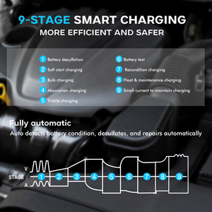 <span class=keywords><strong>Cargador</strong></span> Inteligente de Baterías para Auto y Moto de 30A, 6V/12V/24V, para Baterías de Litio LiFePO4 y Plomo-Ácido <span class=keywords><strong>AGM</strong></span> - Product Image 6