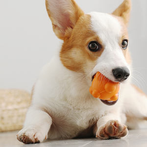 Spykball parlak renkli sevimli köpek oyun darbelere yıkılmaz doğal kauçuk açık eğitim evcil hayvan oyuncakları - Product Image 4