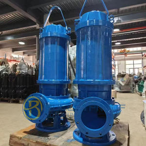 Bomba Sumergible para Aguas Residuales de Alta Calidad, Portátil, para Drenaje de Estanques Pequeños, Flujo de 15-800 M/h, Altura de Bombeo de 7-60 m, Hierro Fundido/Acero Inoxidable 304 - Product Image 2