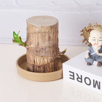 Meixuan Pot de fleurs en forme de plateau style bois brésilien, bol à lotus, récipient hydroponique - Plastique PP épaissi, respirant, résistant à la corrosion