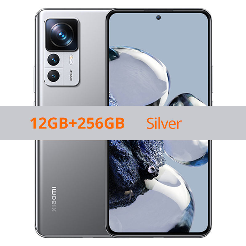 12+256GB silver