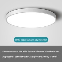 Éclairage LED moderne pour couloir Éclairage de plafond Radar intelligent Détecteur de mouvement et commande vocale pour entrée Escalier Corps en fer