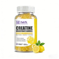 Gummies de renforcement musculaire en marque propre, nutrition sportive, énergie post-entraînement, supplément de créatine monohydratée, 60 unités pour adultes