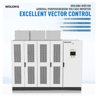 WOLONG 10kV/630kVA WD5100 Variateur moyenne tension triphasé à usage général pour moteurs et compresseurs