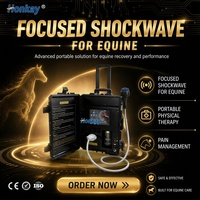 Nouvel équipement de thérapie par ondes de choc 2026 pour la rééducation et la récupération des chevaux, machine à ondes de choc ciblées