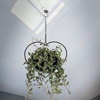 Porte-plante suspendu vintage bohème en forme de cœur, pot détachable de 6 pouces, métal thermolaqué, support mural/plafond, intérieur/extérieur