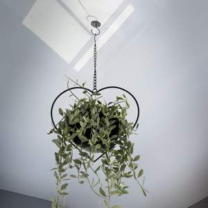 हृदय के आकार के विंटेज बोहो फांसी संयंत्र धारक 6 इंच डिचेबल पॉट धातु दीवार/छत हैंगर - Product Image 4