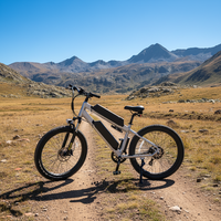 Vélo de montagne Lantu Ebike Mtb 27,5 pouces 750W avec double batterie