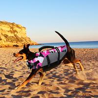 Ripstop Pet Flottation Gilet de Sécurité Maillot de Bain Réglable Réfléchissant Preserver Chien Gilet de Sauvetage avec Poignée de Sauvetage pour la Natation