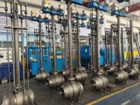 Vannes à boisseau sphérique en acier forgé