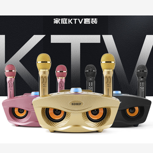 SD306 双扬声器户外家庭 KTV 立体声麦克风大音量 20W 适用于 5.3 IPX5 防水语音控制电脑音箱套装 - Product Image 6