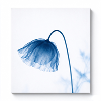 Tableau mural sur toile 4 panneaux motif coquelicot bleu rayé, impression florale abstraite transparente, décoration intérieure nordique moderne