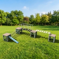 Ensemble modulaire d'entraînement physique en plein air pour enfants, équipement de jeu de parcours d'obstacles modulaire
