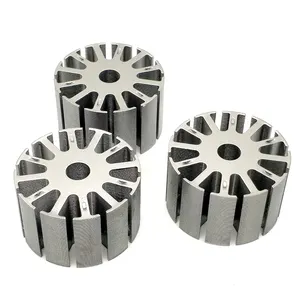 Customizable Silicon Steel Core Stamping Laminated Motor DC Rotor And Stator Permanent Magnet Brushed Rotor Chip