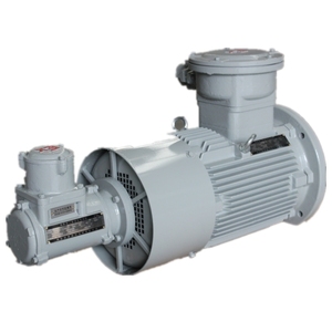 Excn ybbp loạt flameproof biến tần số tốc độ điều chỉnh ba pha động cơ không đồng bộ 0.12kw-315kw 460/480V 3-50Hz - Product Image 1