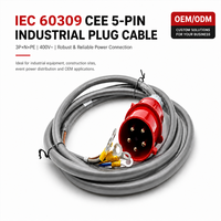 Câble d'alimentation industriel IEC 60309 CEE à 5 broches 3P+N+PE 400V avec bornes à anneau, longueur personnalisée