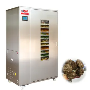 Cogumelo profissional Mandioca Amido abacate desidratação Fábrica preço secagem máquina