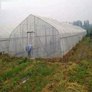 Red de protección contra insectos para plantas y verduras, cubierta protectora de flores para el cuidado de frutas y jardín, Control de plagas para invernadero, 60 unidades - Product Image 2