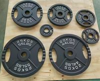 Juego de Discos de Pesas de Hierro Fundido Comerciales ZY, Juego de Discos Profesionales para Barra, para Entrenamiento de Fuerza, Levantamiento de Pesas, Gimnasio de Alta Resistencia
