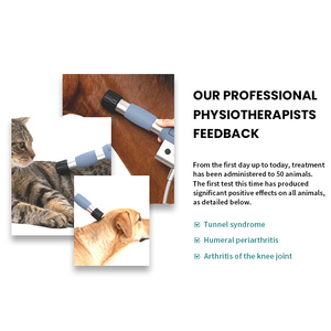 5 in 1 High Performance <strong>Shockwave</strong> <strong>Therapy</strong> 448k Machine for Accelerated Recovery of Sports Injuries in Equine Athletes - Product Image 4