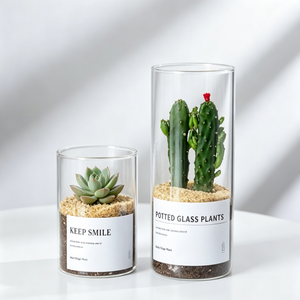 Tanque de Almacenamiento de Varios Tamaños, Cilindro para Plantas, Botella Hidropónica para Suculentas, Florero de Vidrio Transparente para Decoración del Hogar y Sala de Estar - Product Image 4