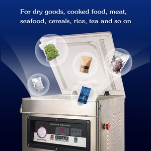 Máquina Empacadora al Vacío de Cámara Única DZ-500/2E - Product Image 3